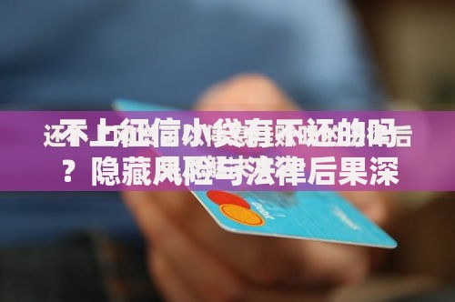 不上征信小贷有不还的吗？隐藏风险与法律后果深度解析