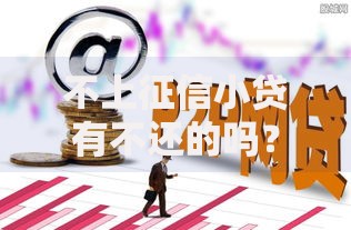 不上征信小贷有不还的吗？隐藏风险与法律后果深度解析