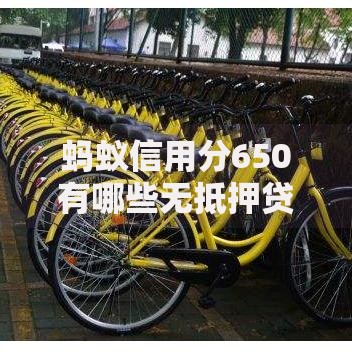 蚂蚁信用分650有哪些无抵押贷款平台？精选解析与申请指南