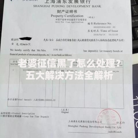 老婆征信黑了怎么处理？五大解决方法全解析