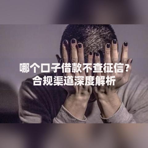 哪个口子借款不查征信？合规渠道深度解析