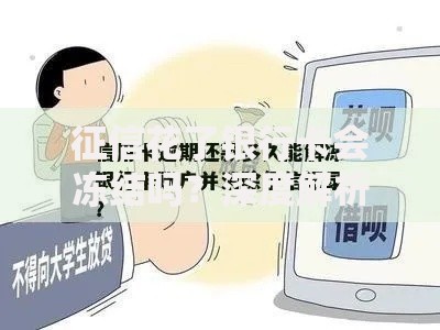 征信花了银行卡会冻结吗？深度解析信用与账户关系