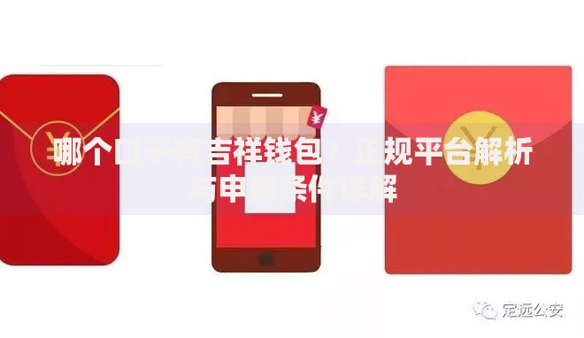 哪个口子有吉祥钱包？正规平台解析与申请条件详解
