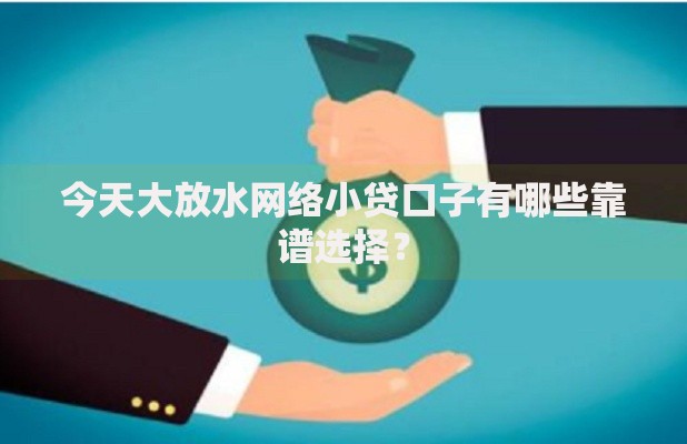 今天大放水网络小贷口子有哪些靠谱选择？