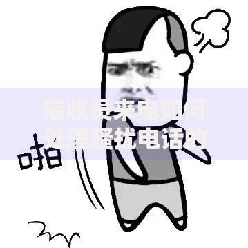 催收员来电如何处理骚扰电话的实用指南