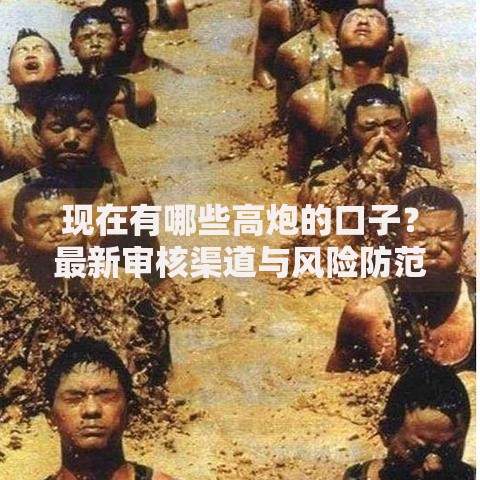 现在有哪些高炮的口子？最新审核渠道与风险防范详解