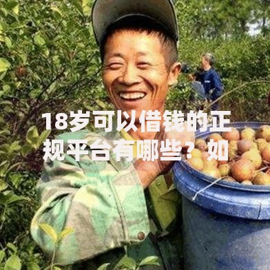 18岁可以借钱的正规平台有哪些？如何安全选择低息渠道