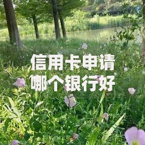 信用卡申请哪个银行好办额度高点？高额度卡种解析