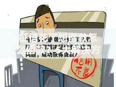 征信花了想借款怎么借款？5大解决方案助你成功获贷