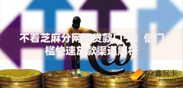 不看芝麻分网黑贷款口子：低门槛快速放款渠道解析