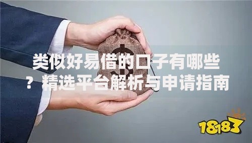 类似好易借的口子有哪些？精选平台解析与申请指南