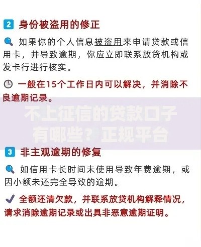 不上征信的贷款口子有哪些？正规平台解析与避坑指南