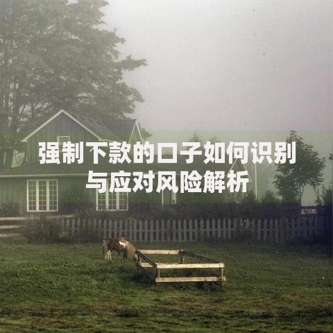 强制下款的口子如何识别与应对风险解析