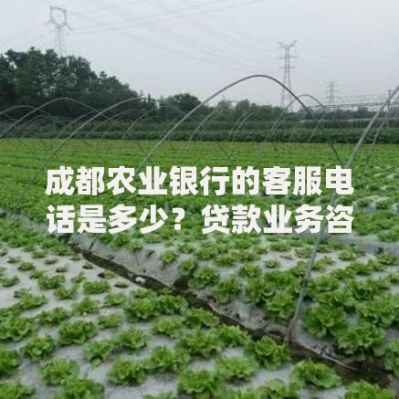 成都农业银行的客服电话是多少?贷款业务咨询与办理指南 成都农业银行的客服电话是多少?贷款业务咨询与办理指南