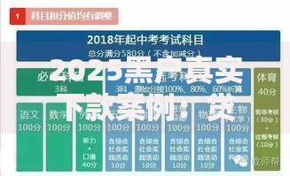 2025黑户真实下款案例：贷款新规深度解析