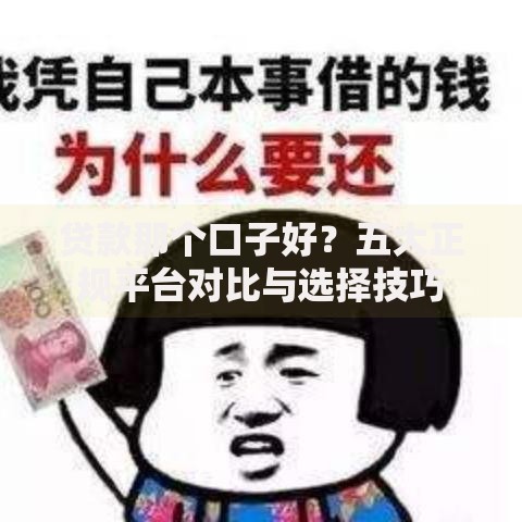 贷款那个口子好？五大正规平台对比与选择技巧