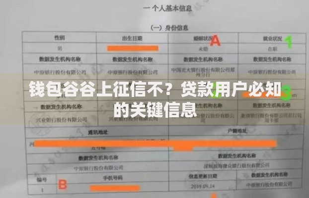 钱包谷谷上征信不？贷款用户必知的关键信息