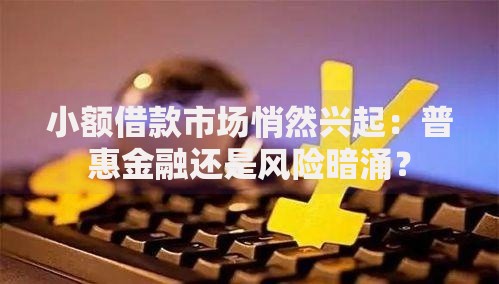小额借款市场悄然兴起：普惠金融还是风险暗涌？