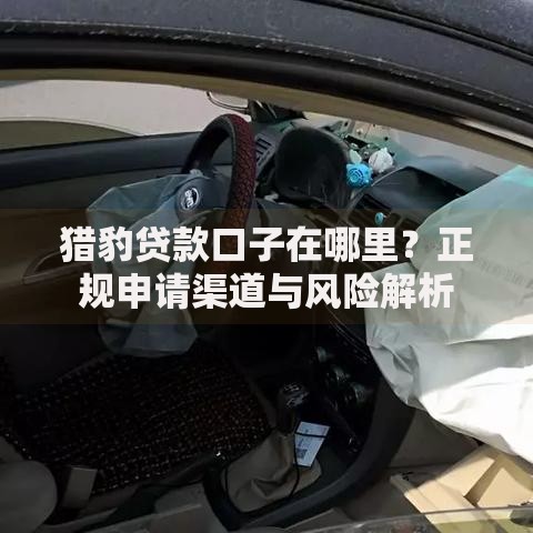 猎豹贷款口子在哪里？正规申请渠道与风险解析