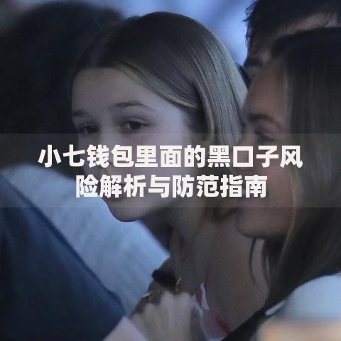 小七钱包里面的黑口子风险解析与防范指南