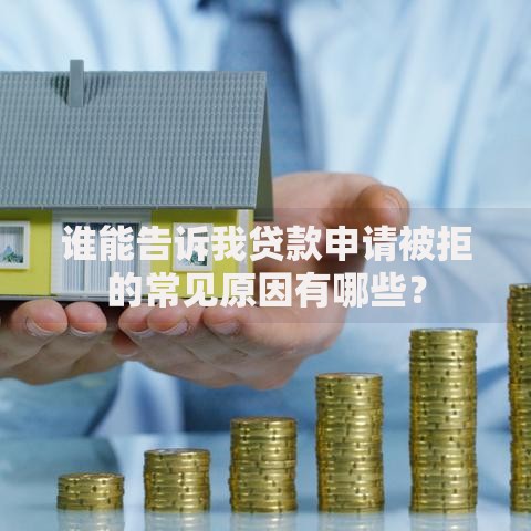 谁能告诉我贷款申请被拒的常见原因有哪些？