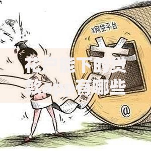 花户能下的贷款app有哪些？正规平台推荐及申请攻略