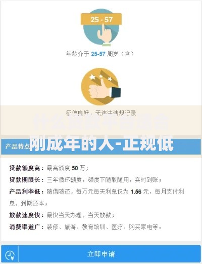 什么贷款平台适合刚成年的人-正规低息安全贷款推荐
