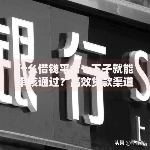 什么借钱平台一下子就能审核通过？高效贷款渠道解析