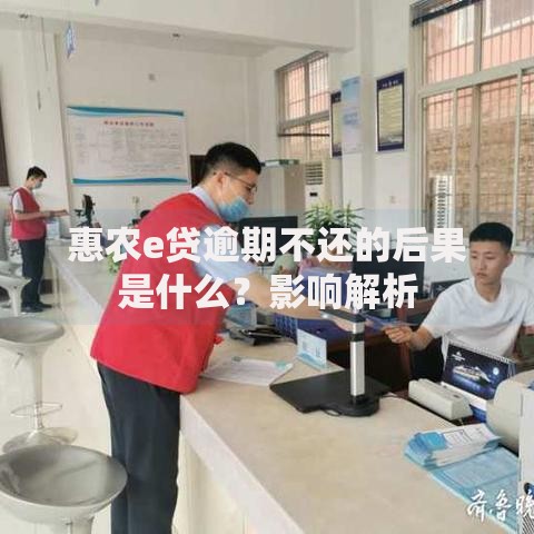 惠农e贷逾期不还的后果是什么？影响解析