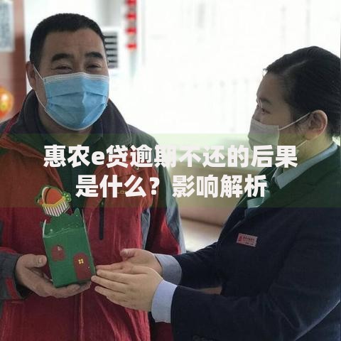 惠农e贷逾期不还的后果是什么？影响解析