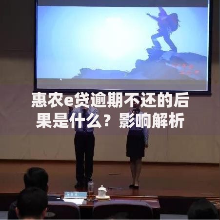 惠农e贷逾期不还的后果是什么？影响解析
