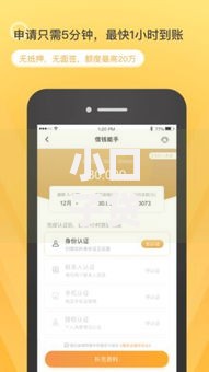 小口子贷款平台有哪些及正规渠道解析