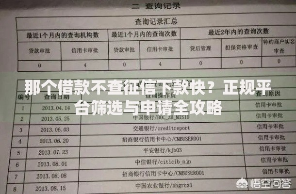 那个借款不查征信下款快？正规平台筛选与申请全攻略
