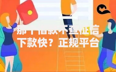 那个借款不查征信下款快？正规平台筛选与申请全攻略