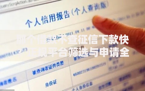 那个借款不查征信下款快？正规平台筛选与申请全攻略