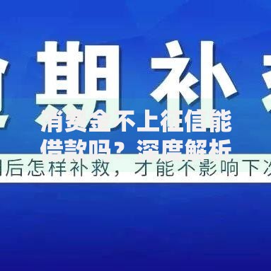 消费金不上征信能借款吗？深度解析无征信贷款途径与风险
