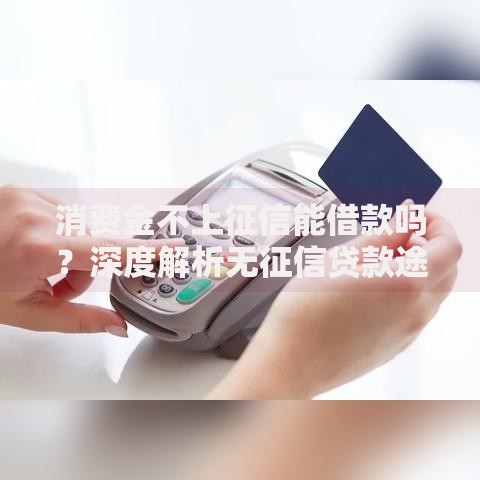 消费金不上征信能借款吗？深度解析无征信贷款途径与风险