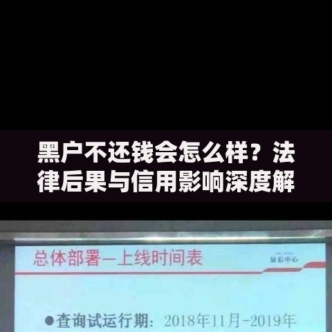 黑户不还钱会怎么样？法律后果与信用影响深度解析
