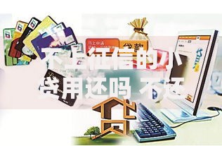 不上征信的小贷用还吗 不还会有什么后果