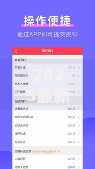 2025最新下款口子如何快速申请安全到账
