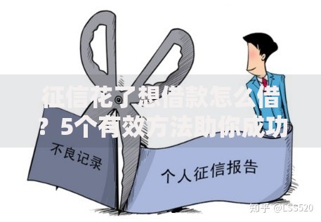 征信花了想借款怎么借？5个有效方法助你成功申贷