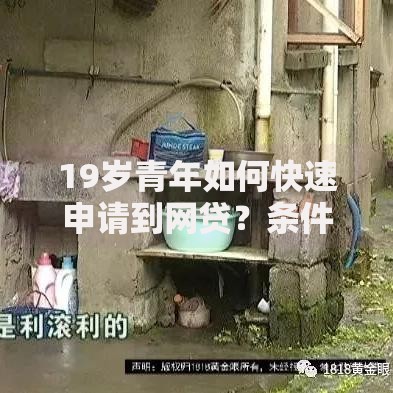19岁青年如何快速申请到网贷？条件与流程全解析