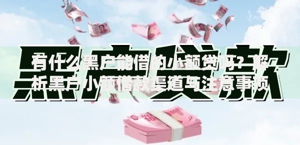 有什么黑户能借的小额贷吗？解析黑户小额借款渠道与注意事项