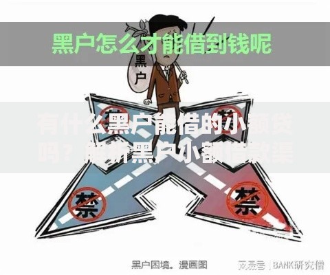 有什么黑户能借的小额贷吗？解析黑户小额借款渠道与注意事项