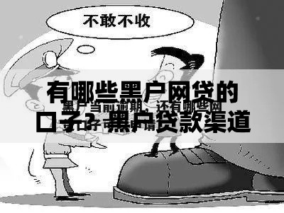 有哪些黑户网贷的口子？黑户贷款渠道与风险解析