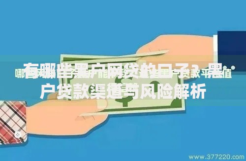 有哪些黑户网贷的口子？黑户贷款渠道与风险解析