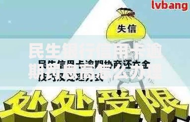 民生银行信用卡逾期罚息高怎么办理？协商减免全流程解析