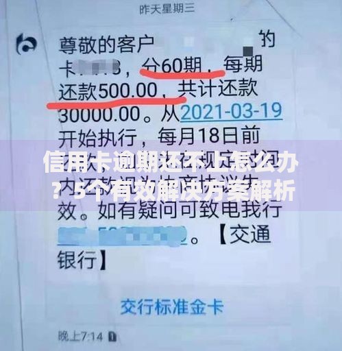 信用卡逾期还不上怎么办？5个有效解决方案解析