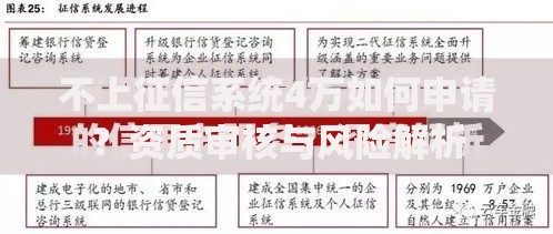 不上征信系统4万如何申请？资质审核与风险解析