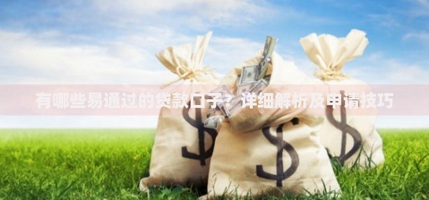 有哪些易通过的贷款口子？详细解析及申请技巧